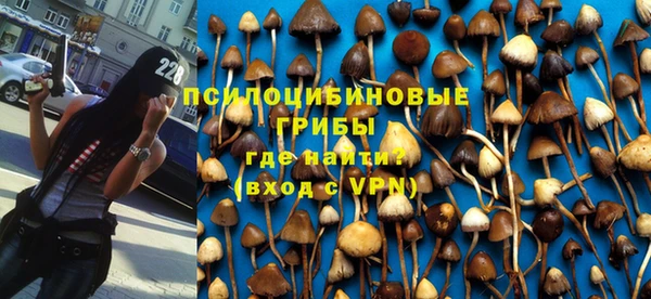 a pvp Богданович
