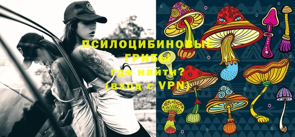 a pvp Богданович