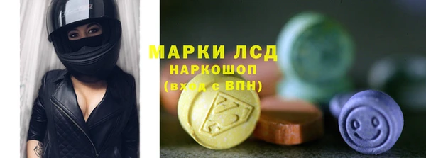 таблы Богородицк