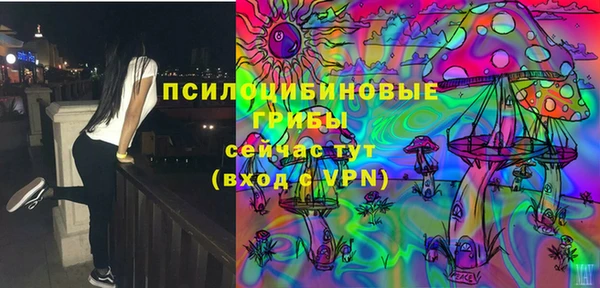 таблы Богородицк